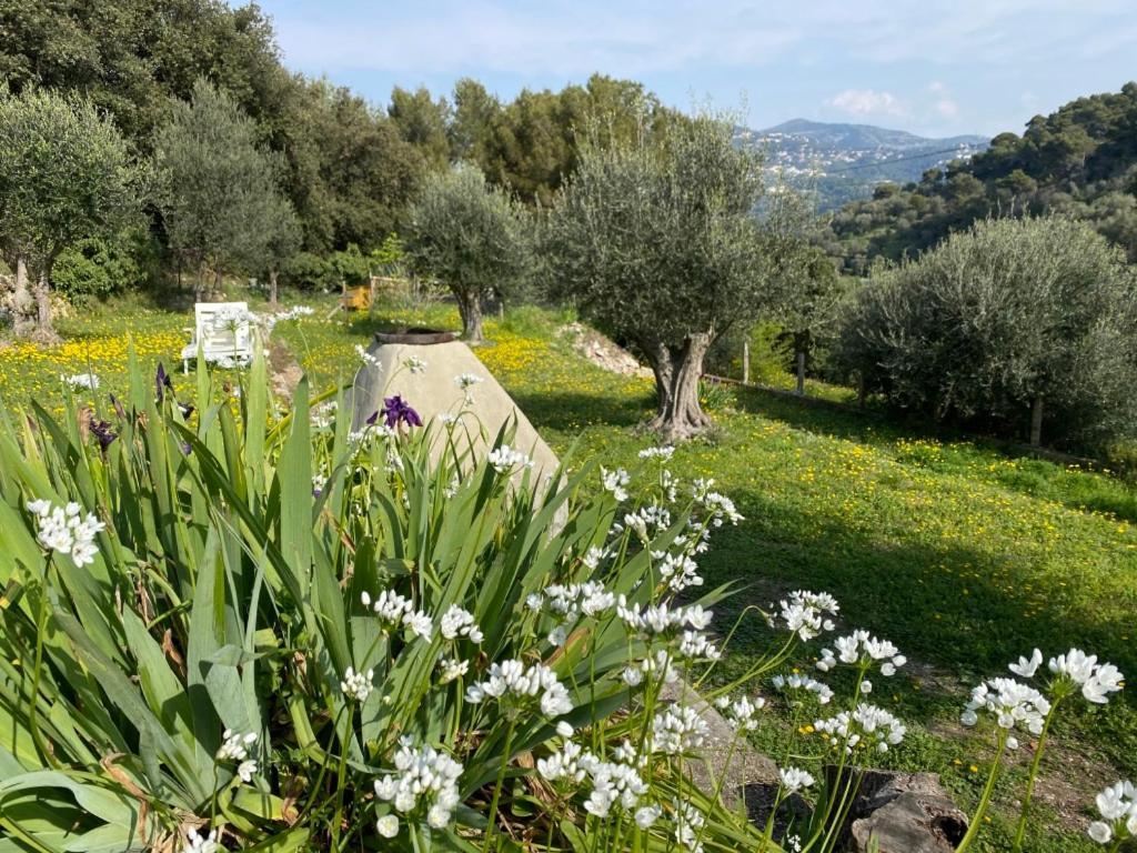 Breathe Guest-House Apartamento Nice Exterior foto